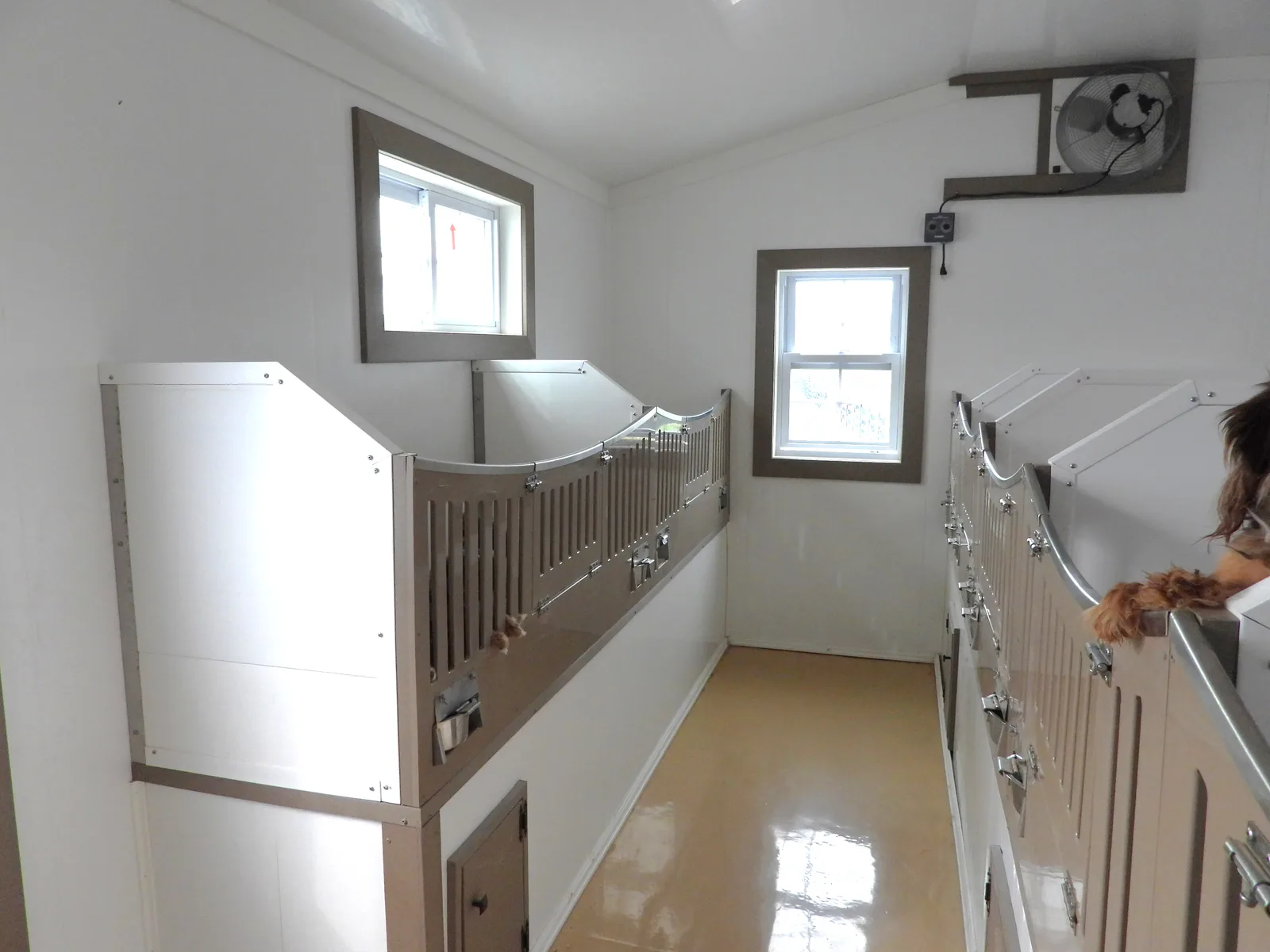 Inside the KB Goldstar kennel facility