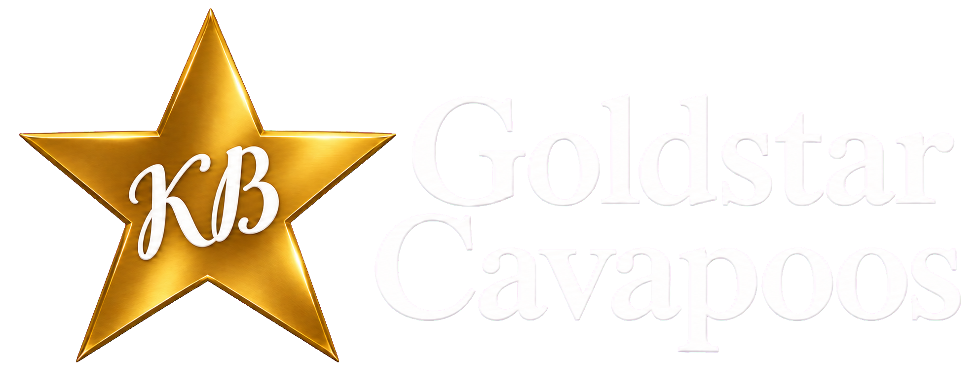 KB Goldstar Cavapoos
